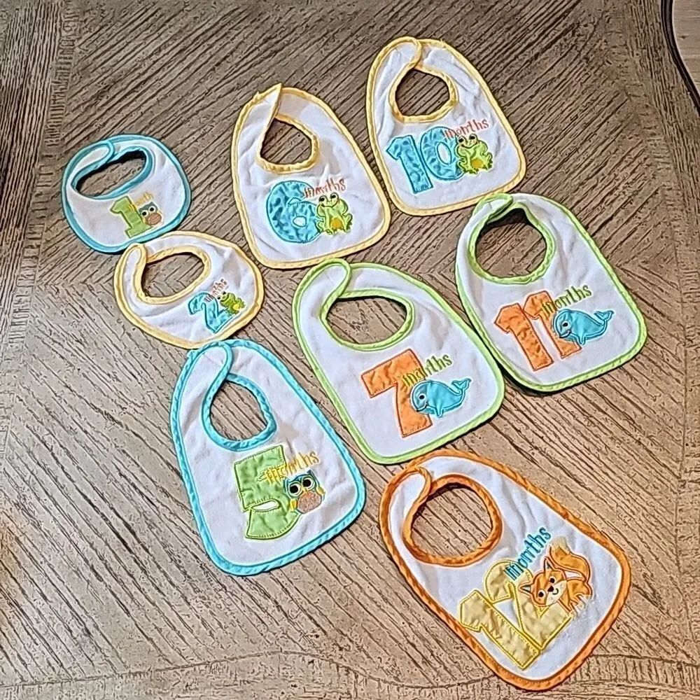 Baby bibs with months